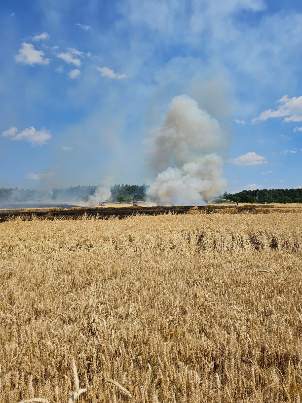 2023-07-11 požáry v JMK/babice u rosic (3).jpg