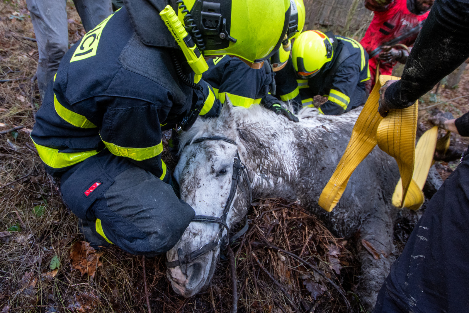 2024_07_12-Zachrana_kone (2).jpg