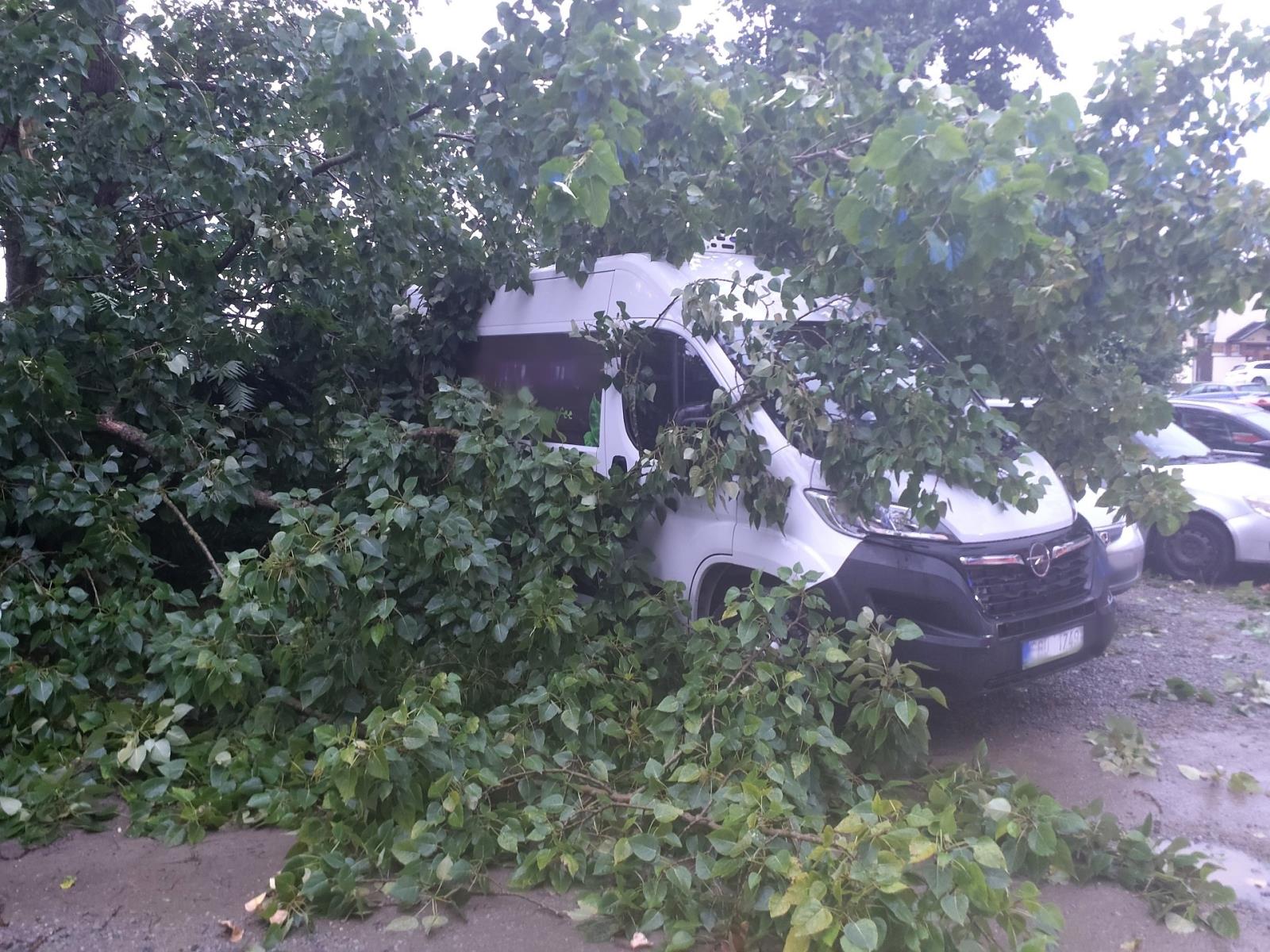 2025-07-21 Bouřka, JHM/strom na dodávce, Brno.jpeg