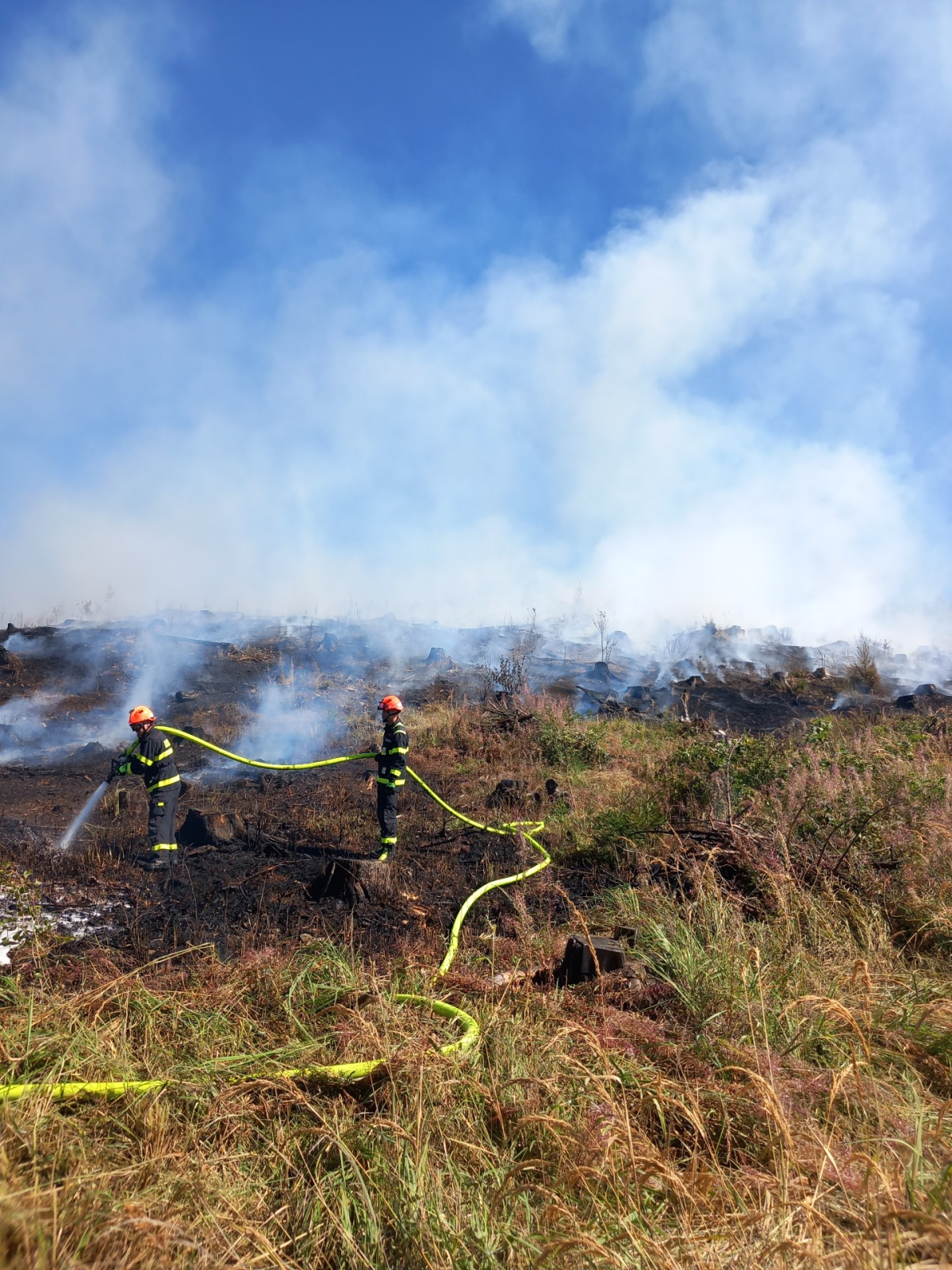 2025-08-19 Požár lesa, Němčice/1.png
