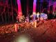 2025-11-12-Nehoda_hat (5)