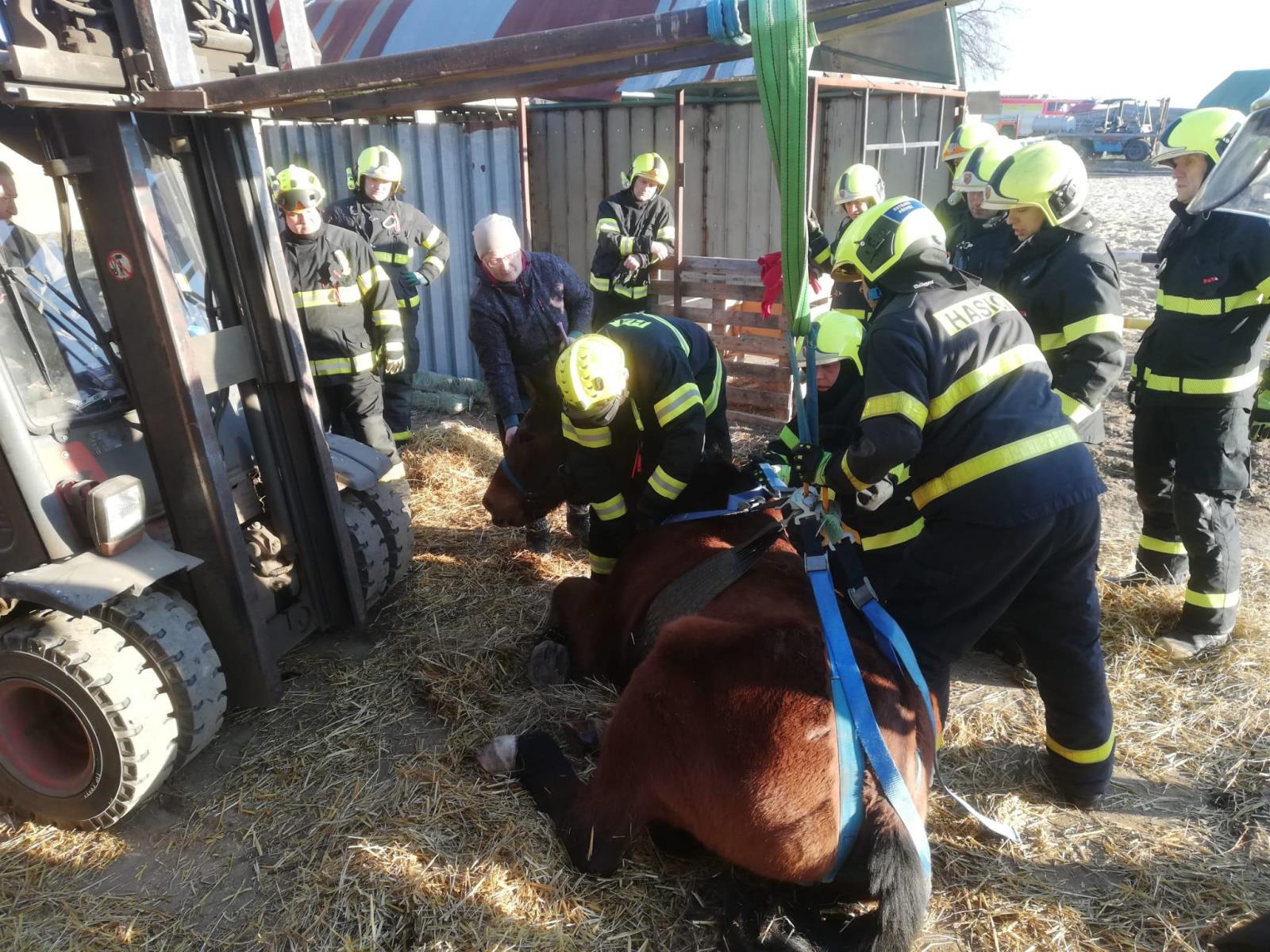 2025_03_06-zachrana_kone_Studenka (2).jpeg