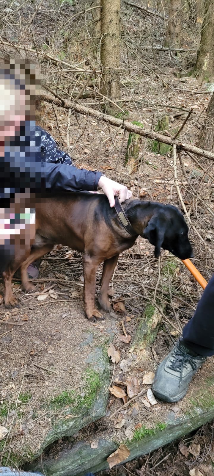 2025_05_14-Zachrana_fena_Dobrecov (6).jpeg