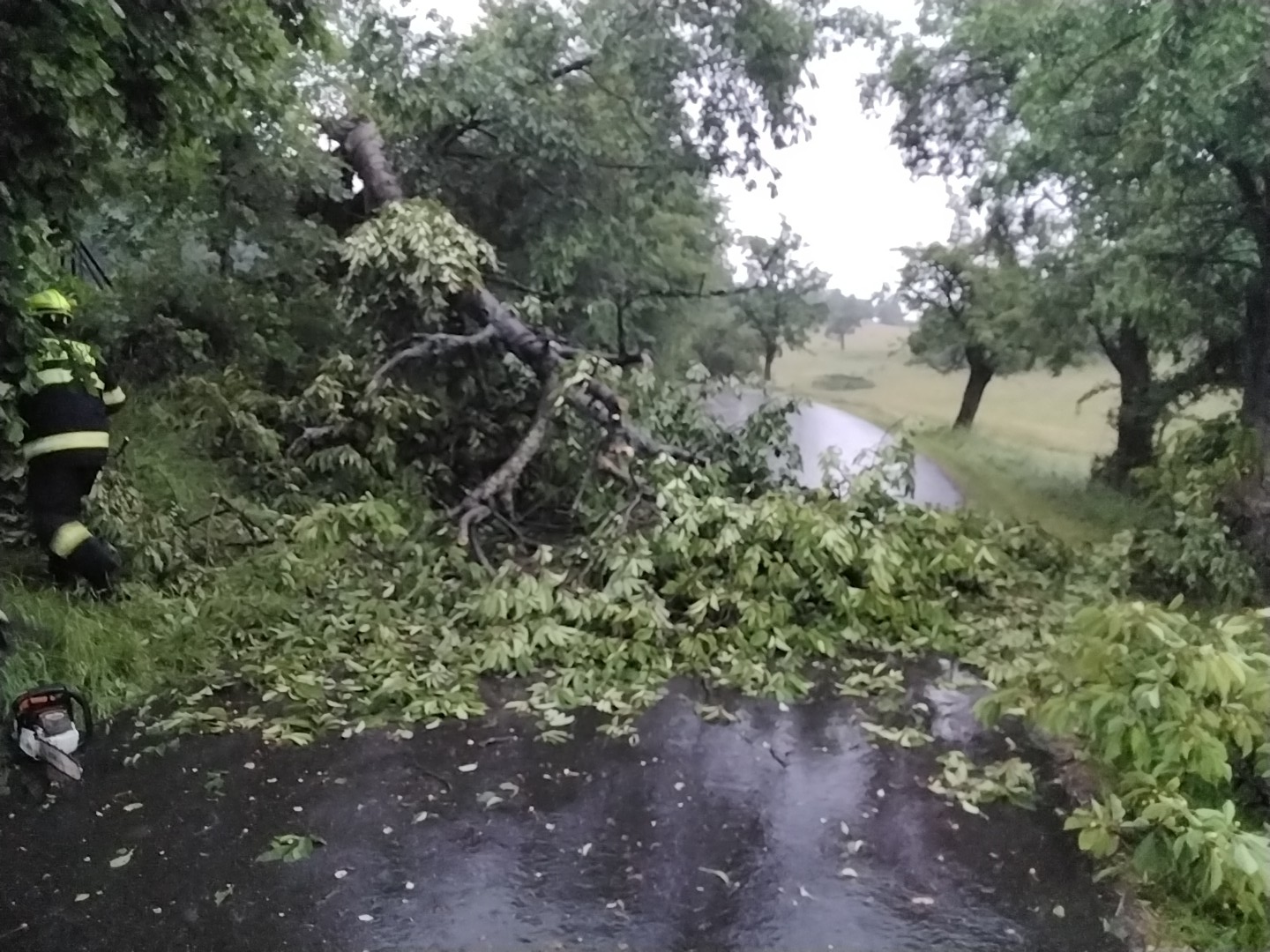 2025_06_15_T_UK_Usteckykraj