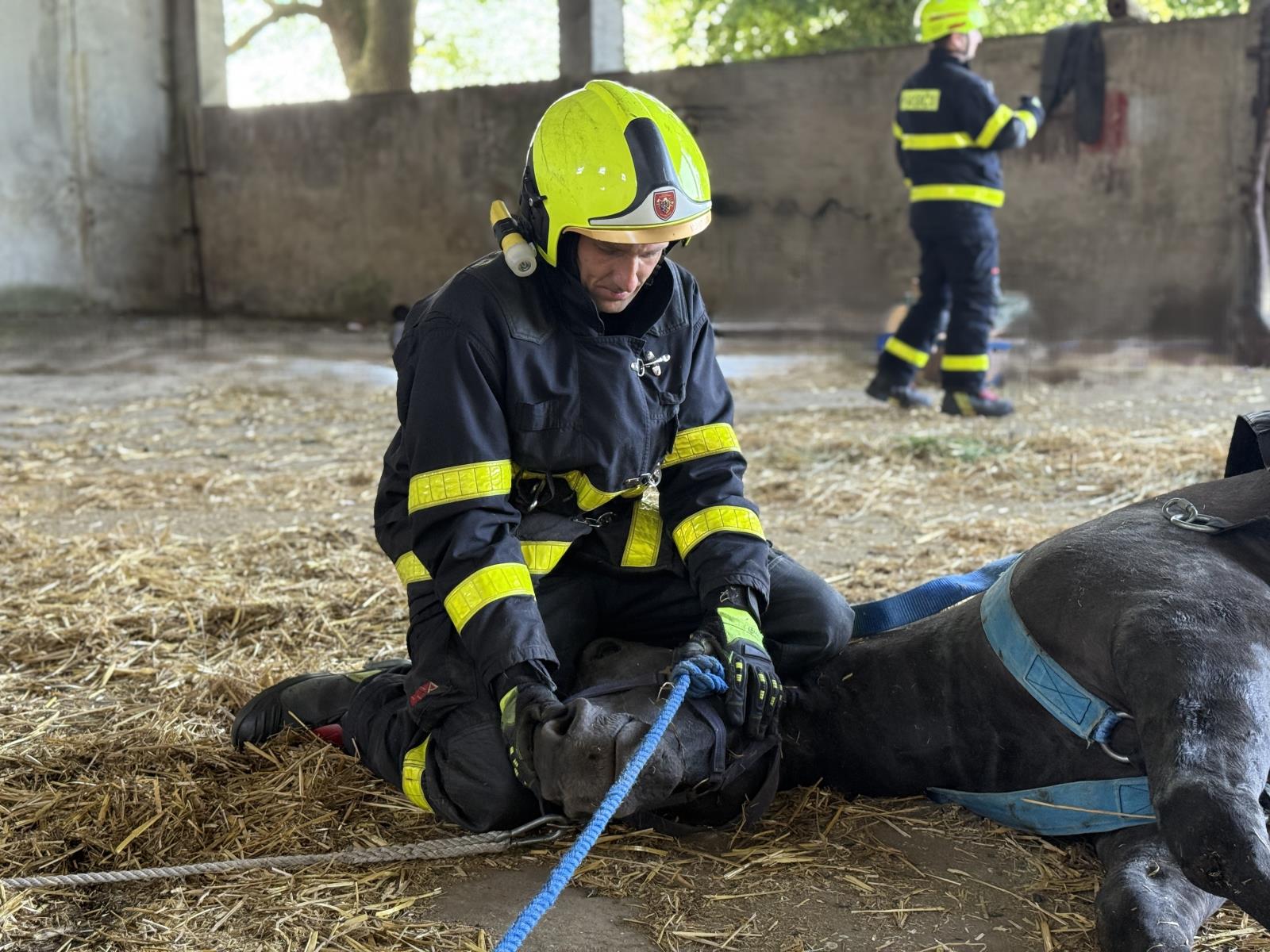 2025_06_18-Zvedani_kone (2).jpg