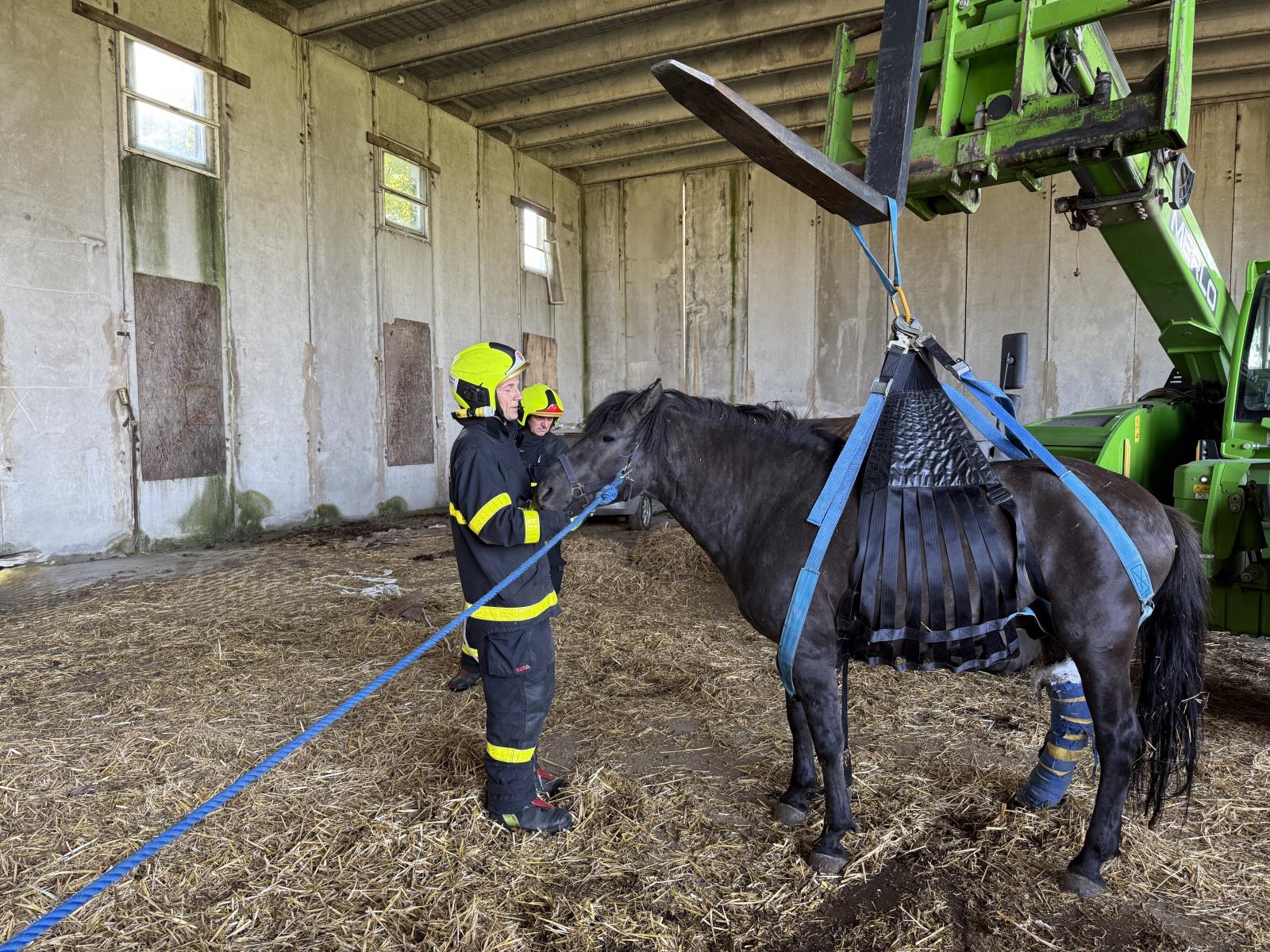 2025_06_18-Zvedani_kone (3).JPG