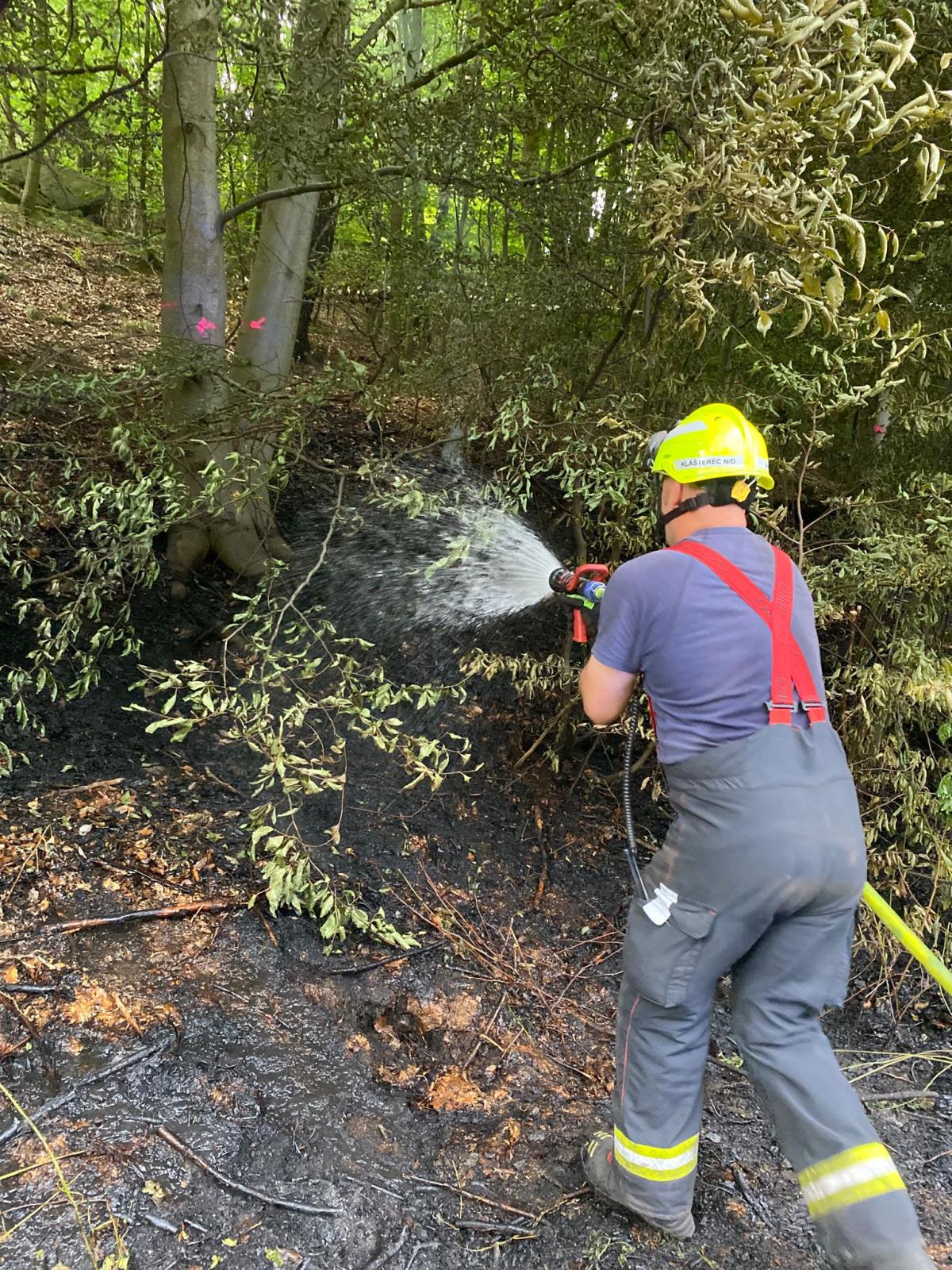 2025_07_06-P_CV_Okounov