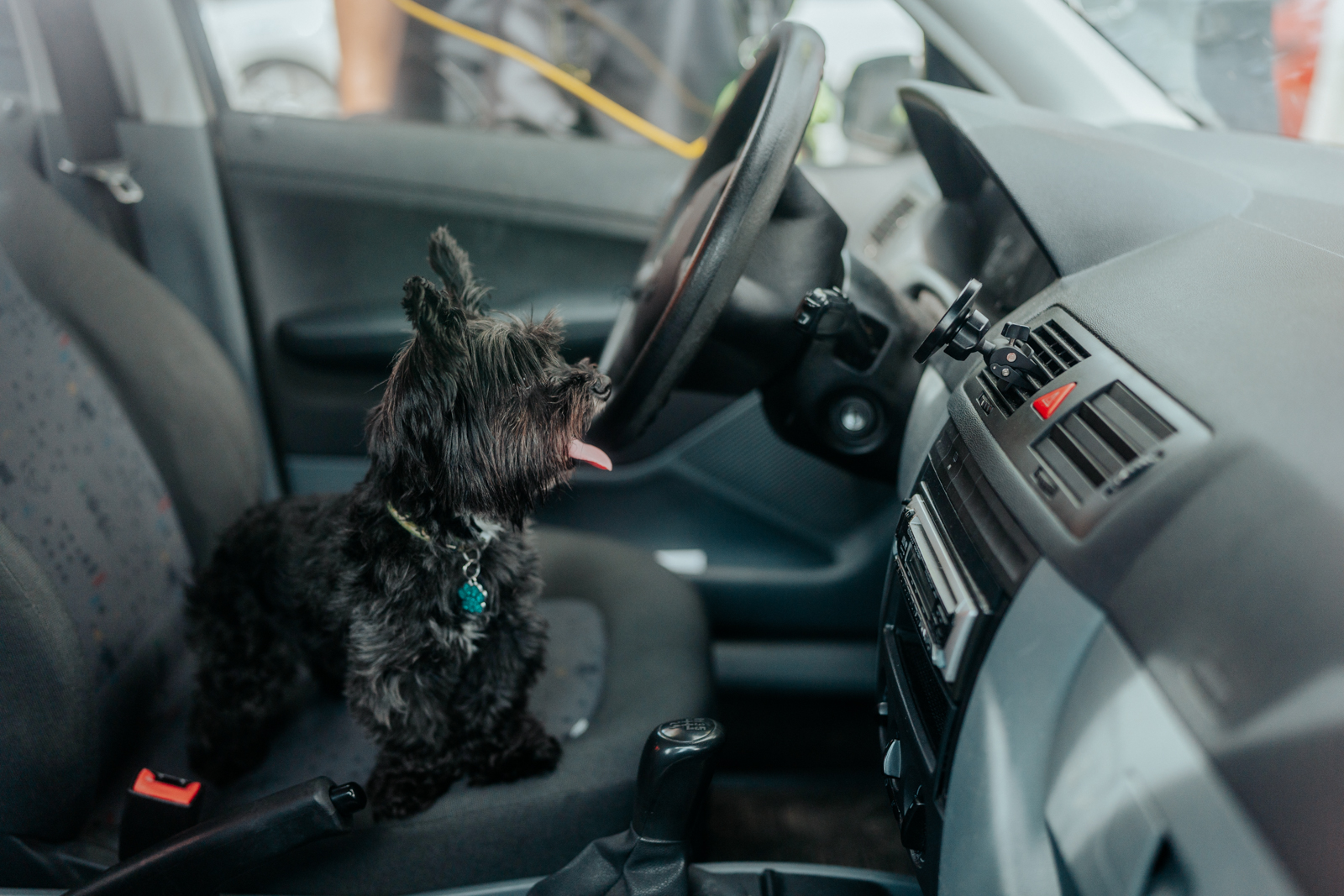 2025_07_21-Zachrana_psa_Ostrava (3).jpg