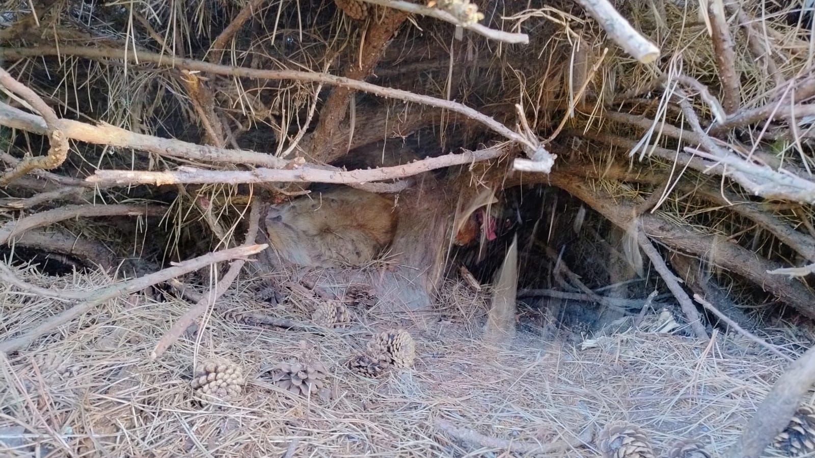 2025_07_23_ZOZ_LN_Louny 01.jpg