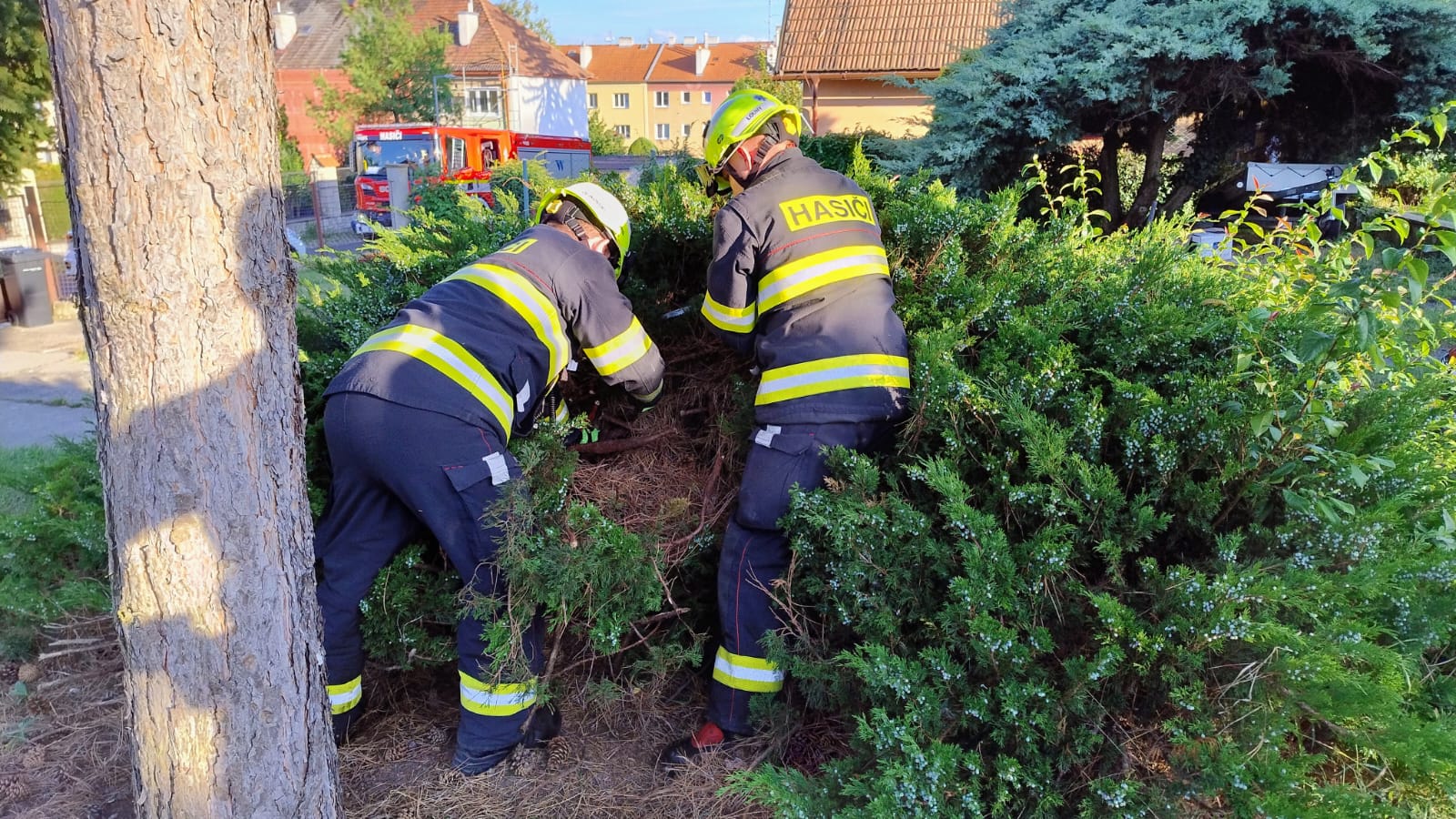 2025_07_23_ZOZ_LN_Louny 04.jpg