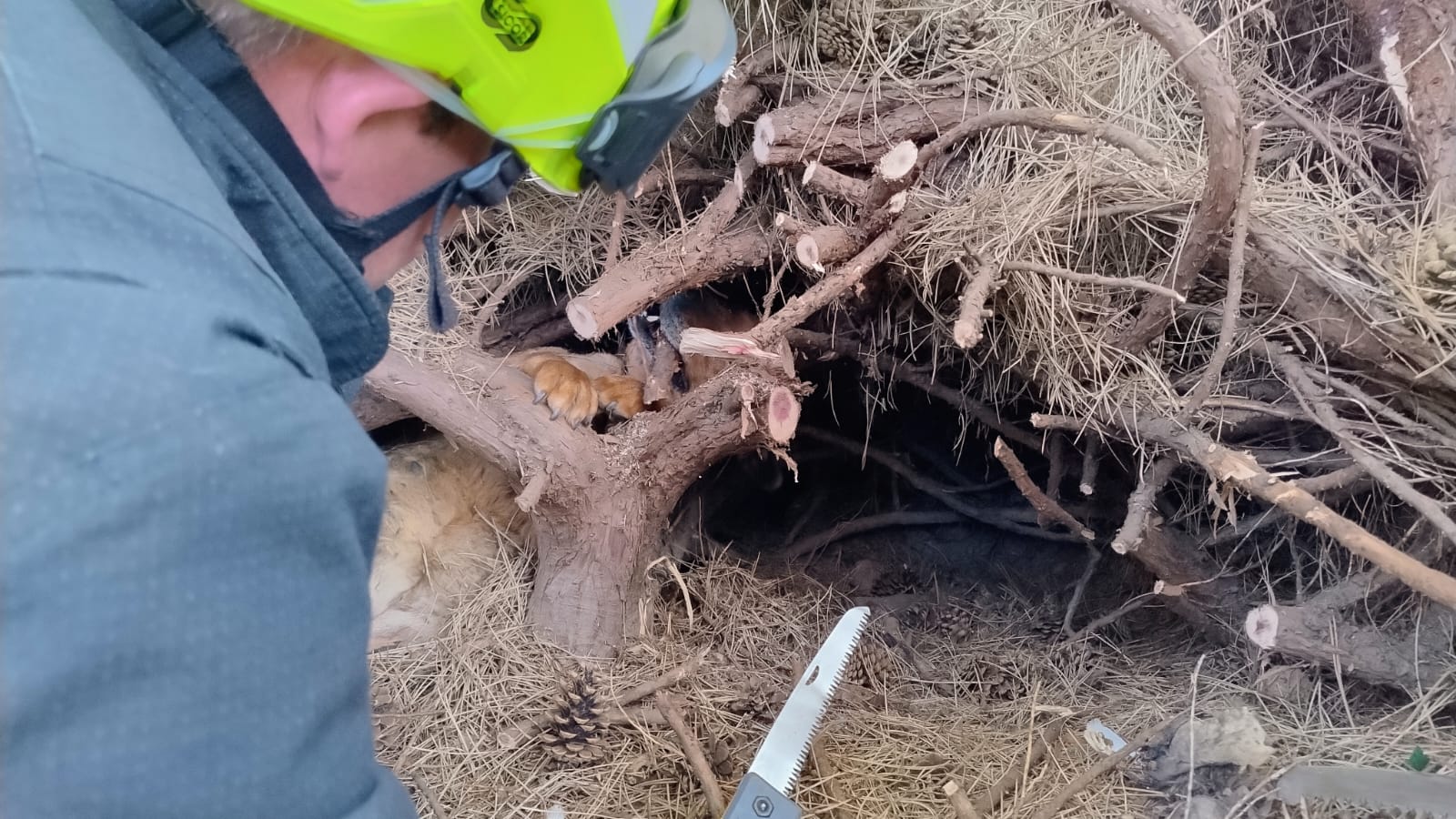 2025_07_23_ZOZ_LN_Louny 05.jpg