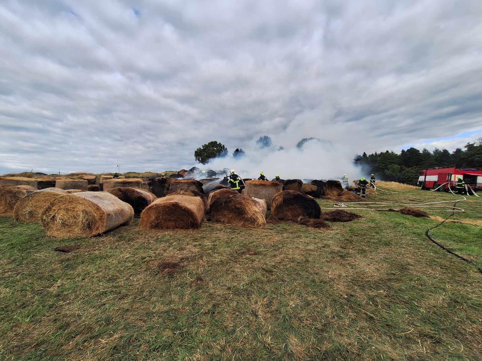 2025_08_24_P_MO_Mnisek