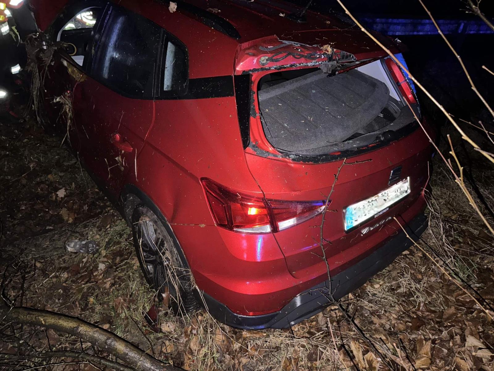 2025_11_30_DN_UL_D8 02.jpeg