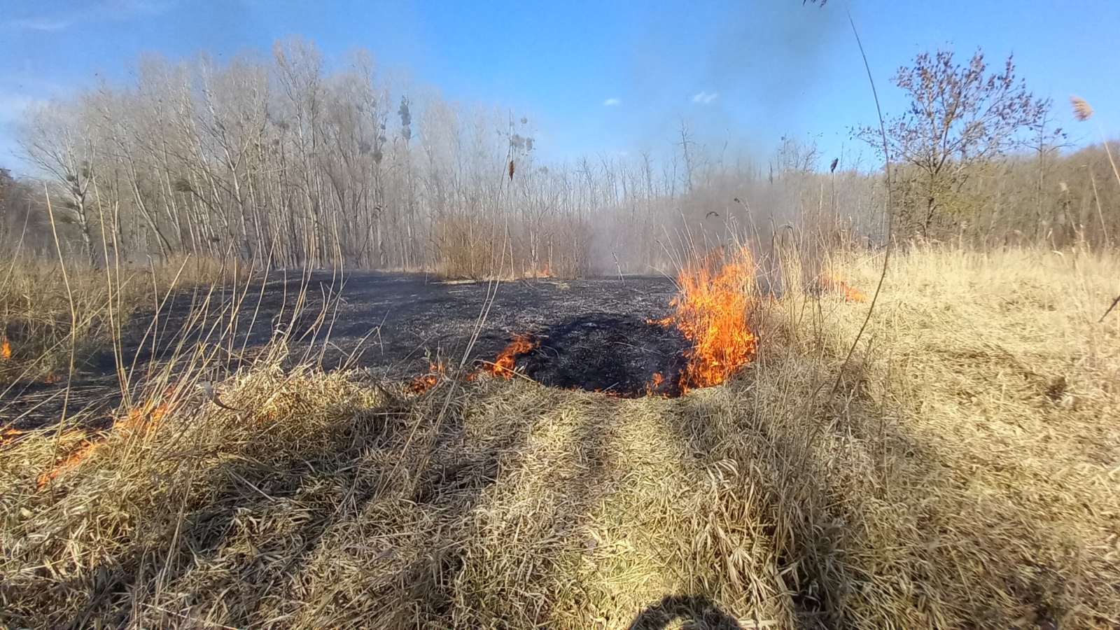 2026-03-14 P trávy Pasohlávky (1).jpg