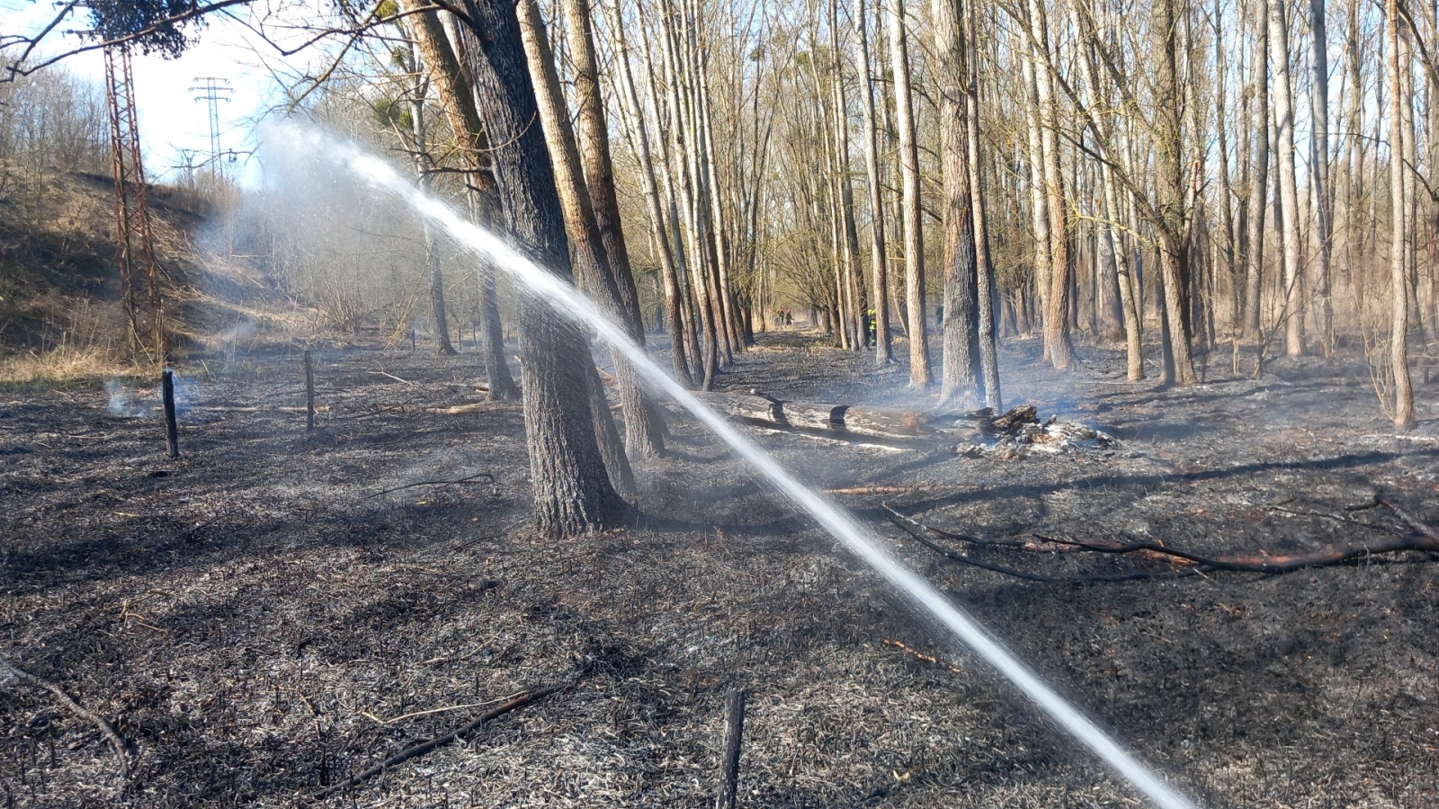 2026-03-14 P trávy Pasohlávky (3).jpg