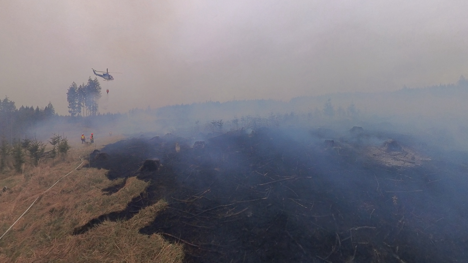 2026-04-12 P lesa Doubravice nad Svitavou (2).jpg