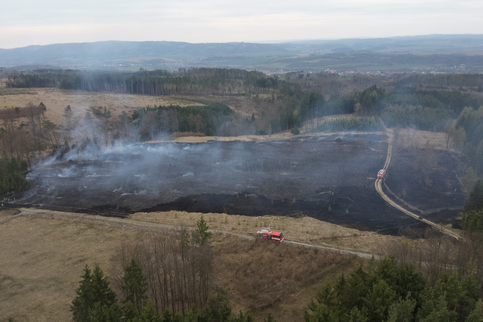 2026-04-12 P lesa Doubravice nad Svitavou (3).jpg