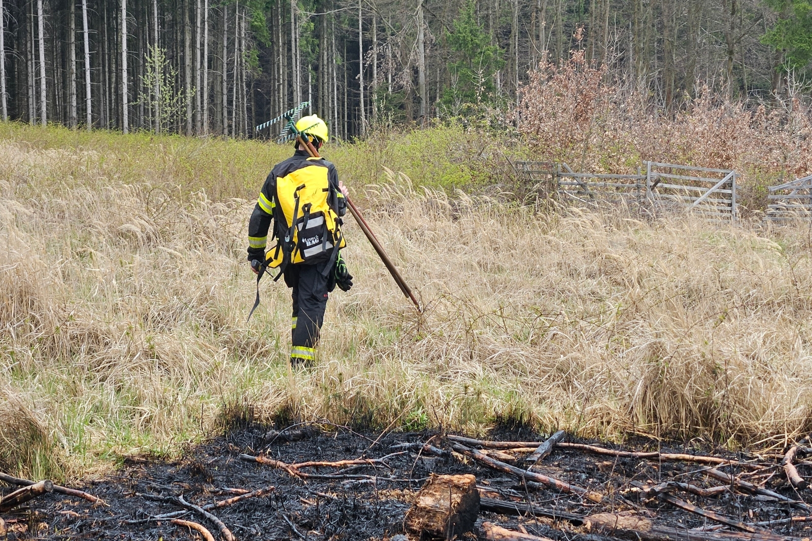 2026-04-12 P lesa Doubravice nad Svitavou (5).jpg