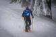 2026_01_30-Winter_survival (16)