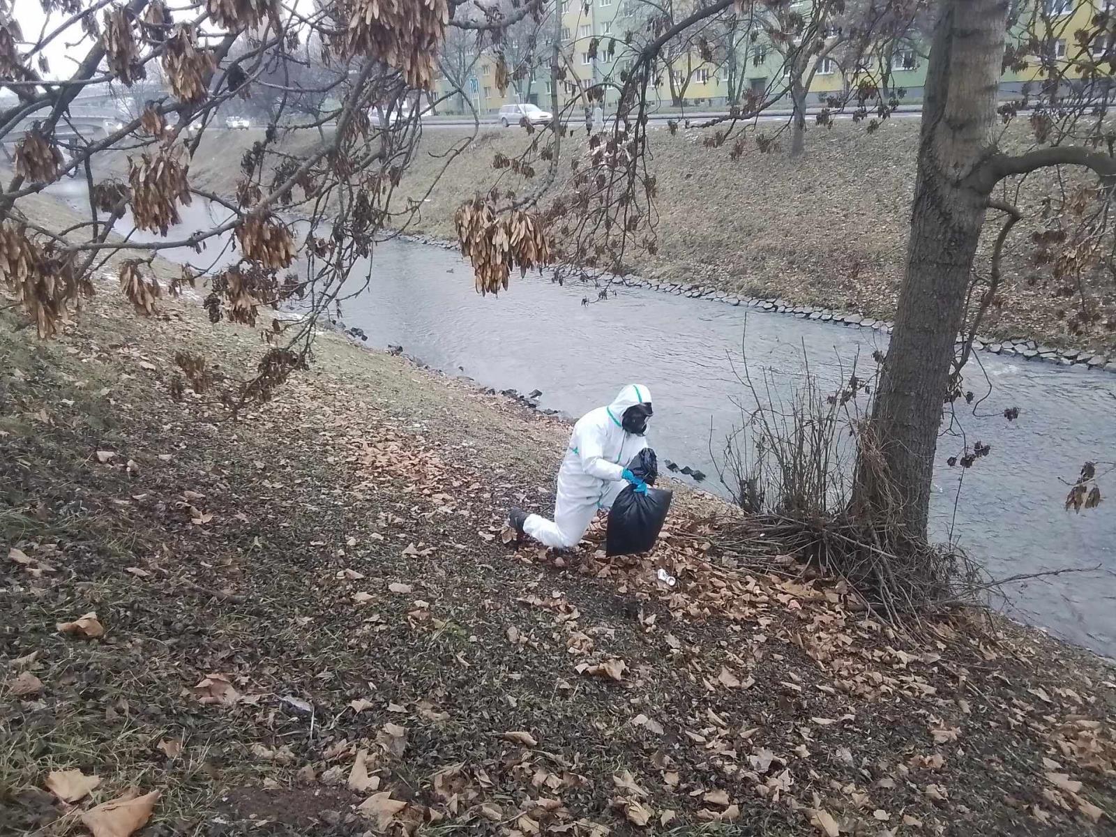 2026_02_01_ULK_souhrn