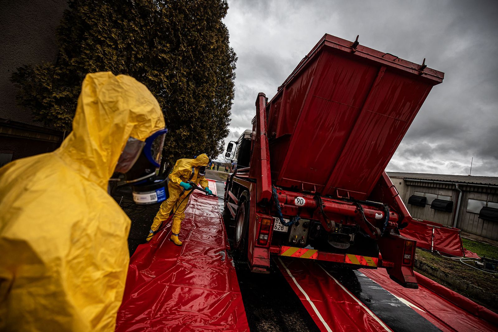 2026_02_13_Ptaci_chripka_Kosicky (1).jpeg