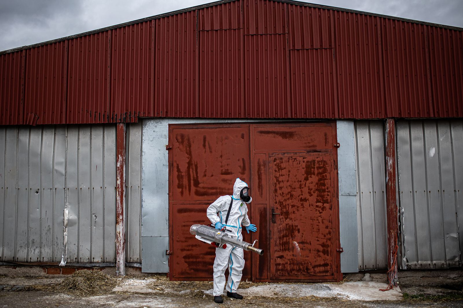 2026_02_13_Ptaci_chripka_Kosicky (10).jpeg