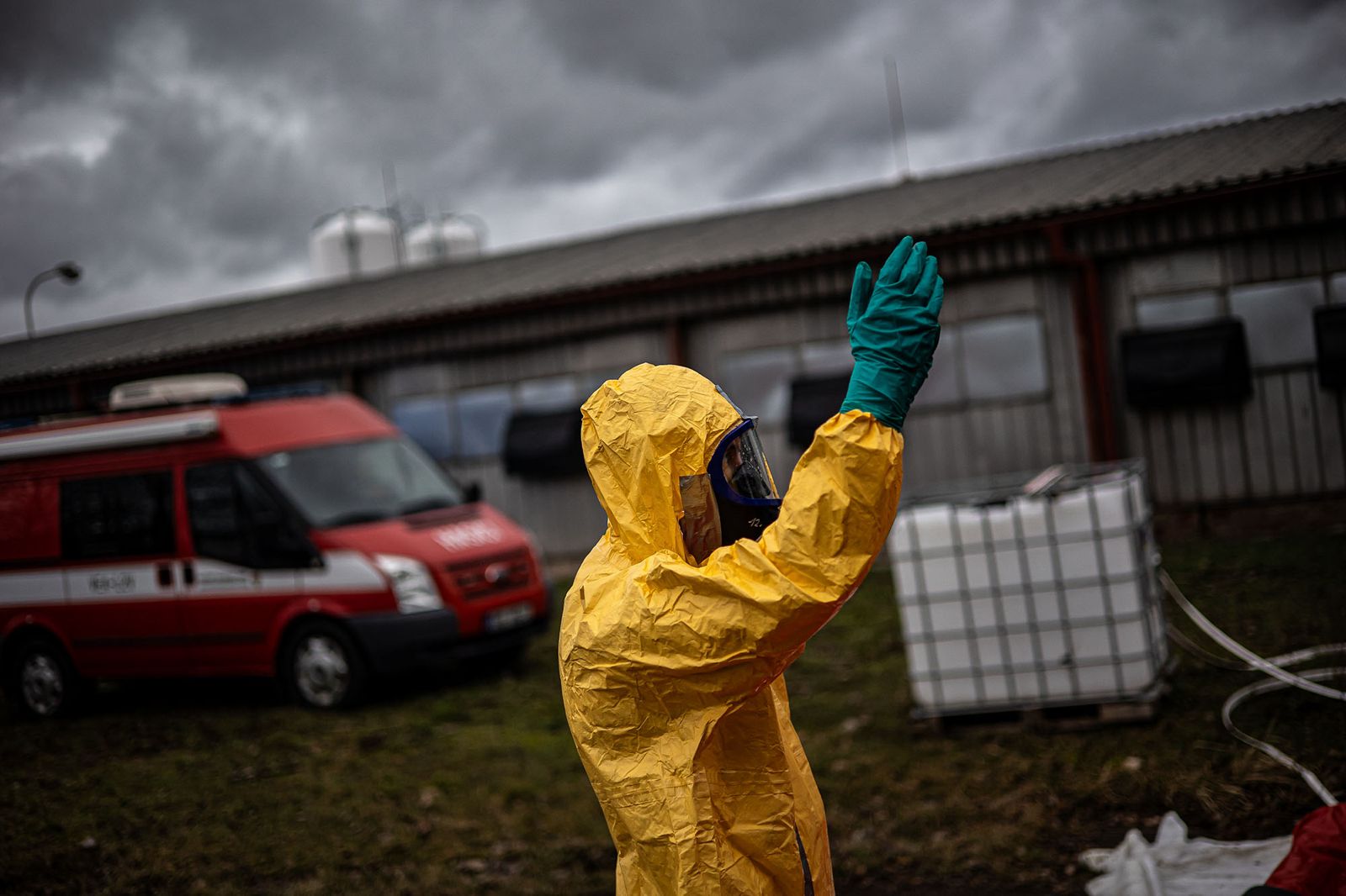 2026_02_13_Ptaci_chripka_Kosicky (4).jpeg