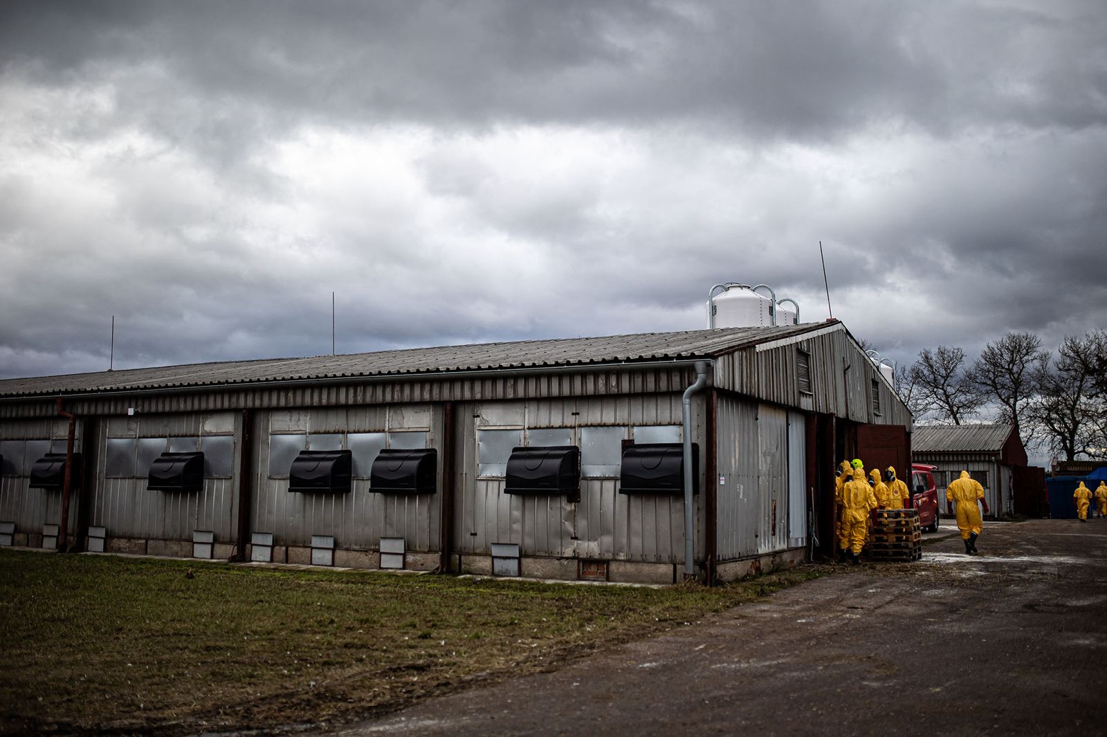 2026_02_13_Ptaci_chripka_Kosicky (6).jpeg