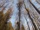 2026_03_07-Dopravni_nehoda_letecka_TP (2)