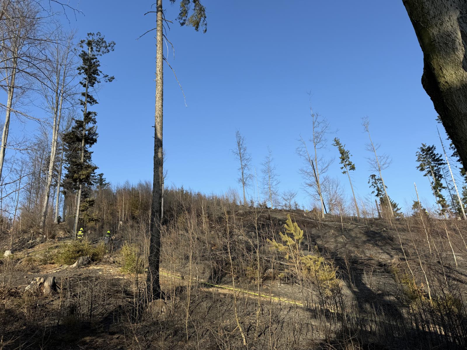 2026_03_14-Pozar_lesa_Navsi (2).jpeg