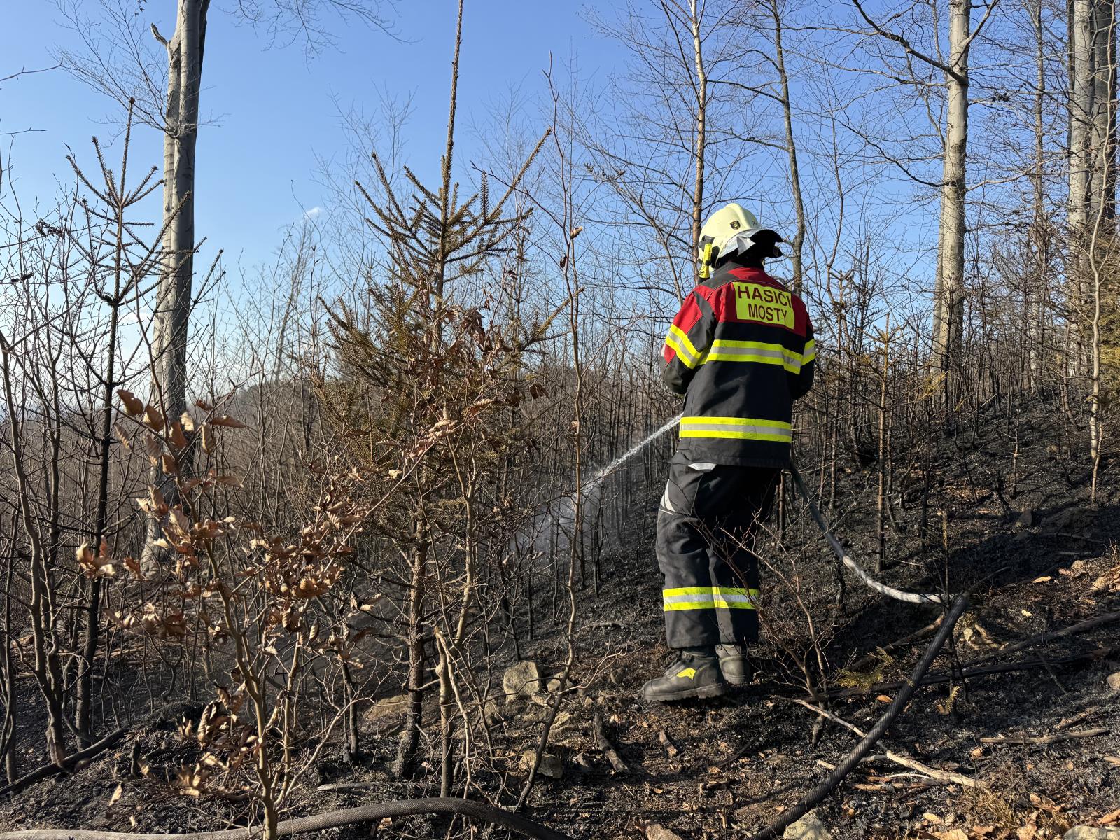 2026_03_14-Pozar_lesa_Navsi (3).jpeg