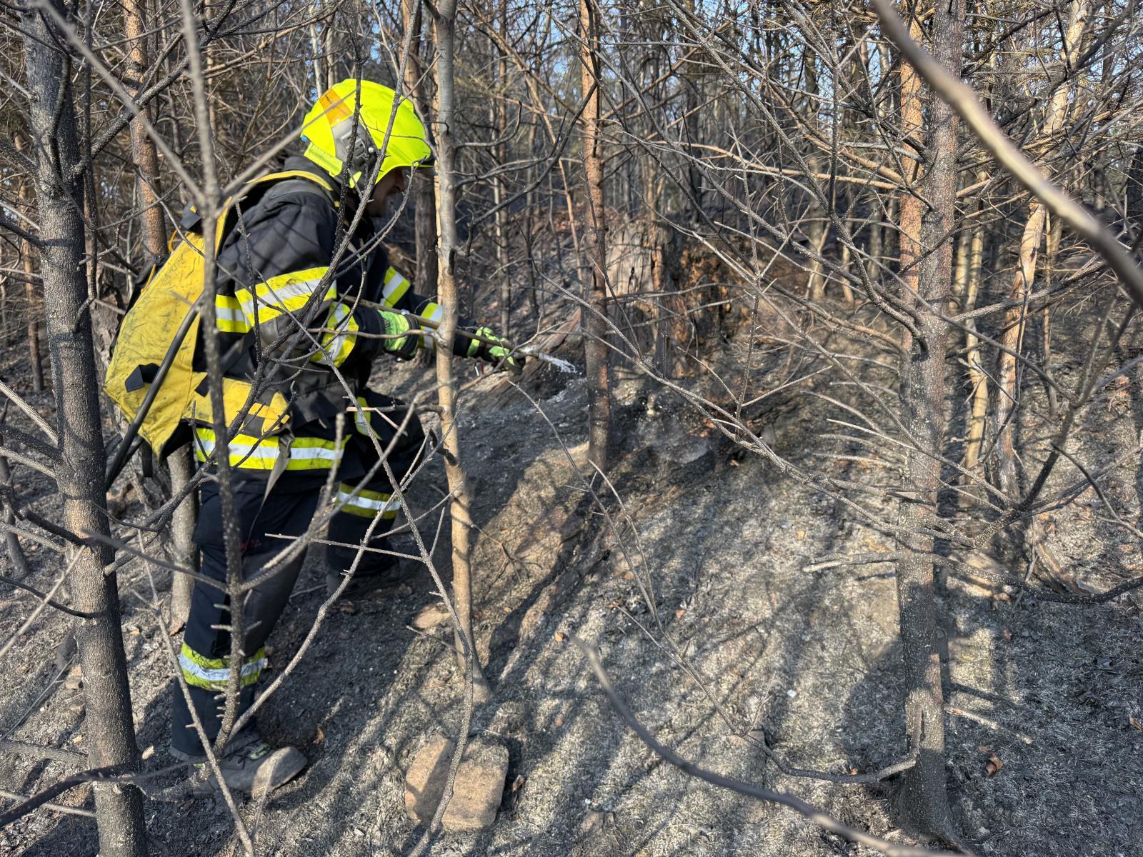 2026_03_14-Pozar_lesa_Navsi (6).jpeg