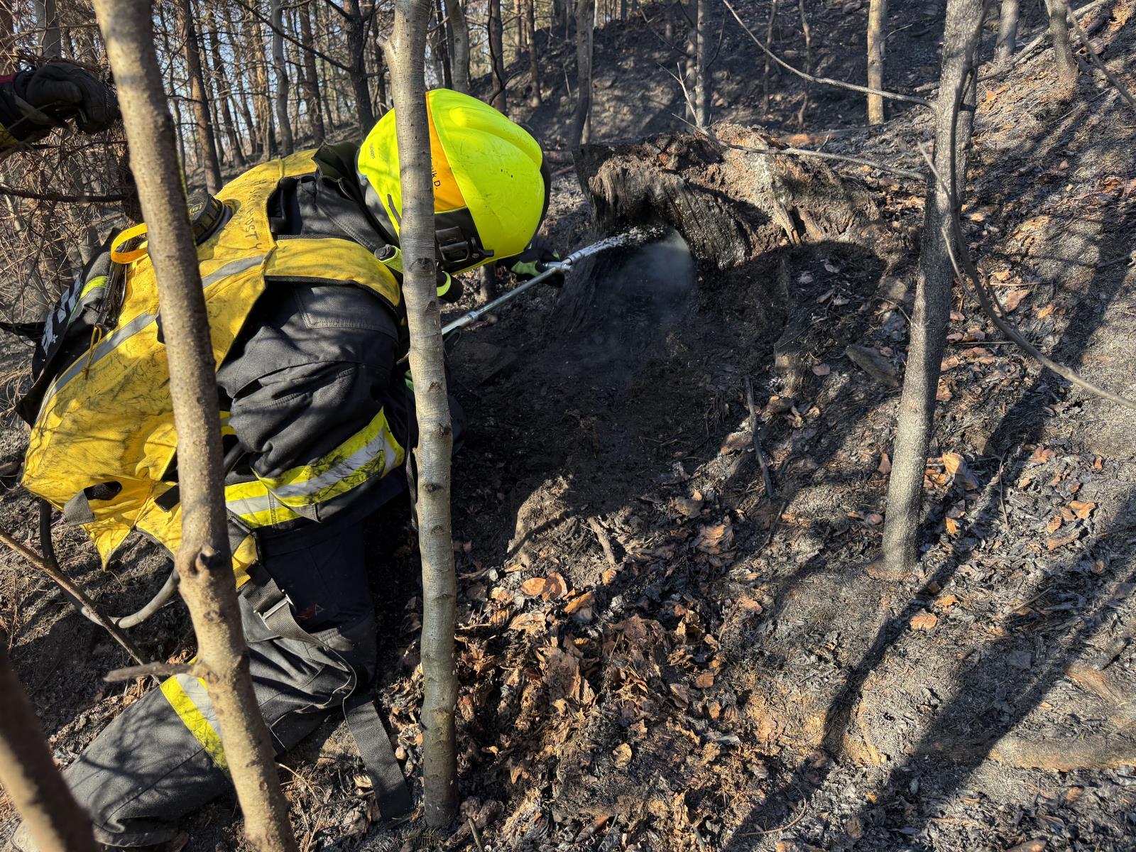 2026_03_14-Pozar_lesa_Navsi (7).jpeg