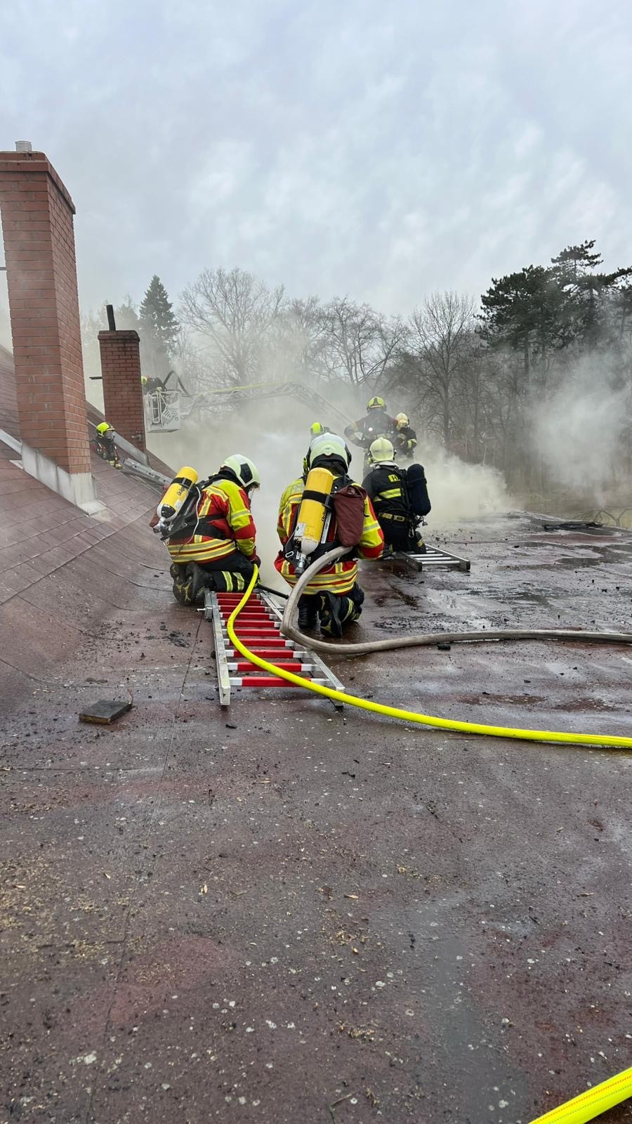 2026_03_25_P_Varnsdorf_DC