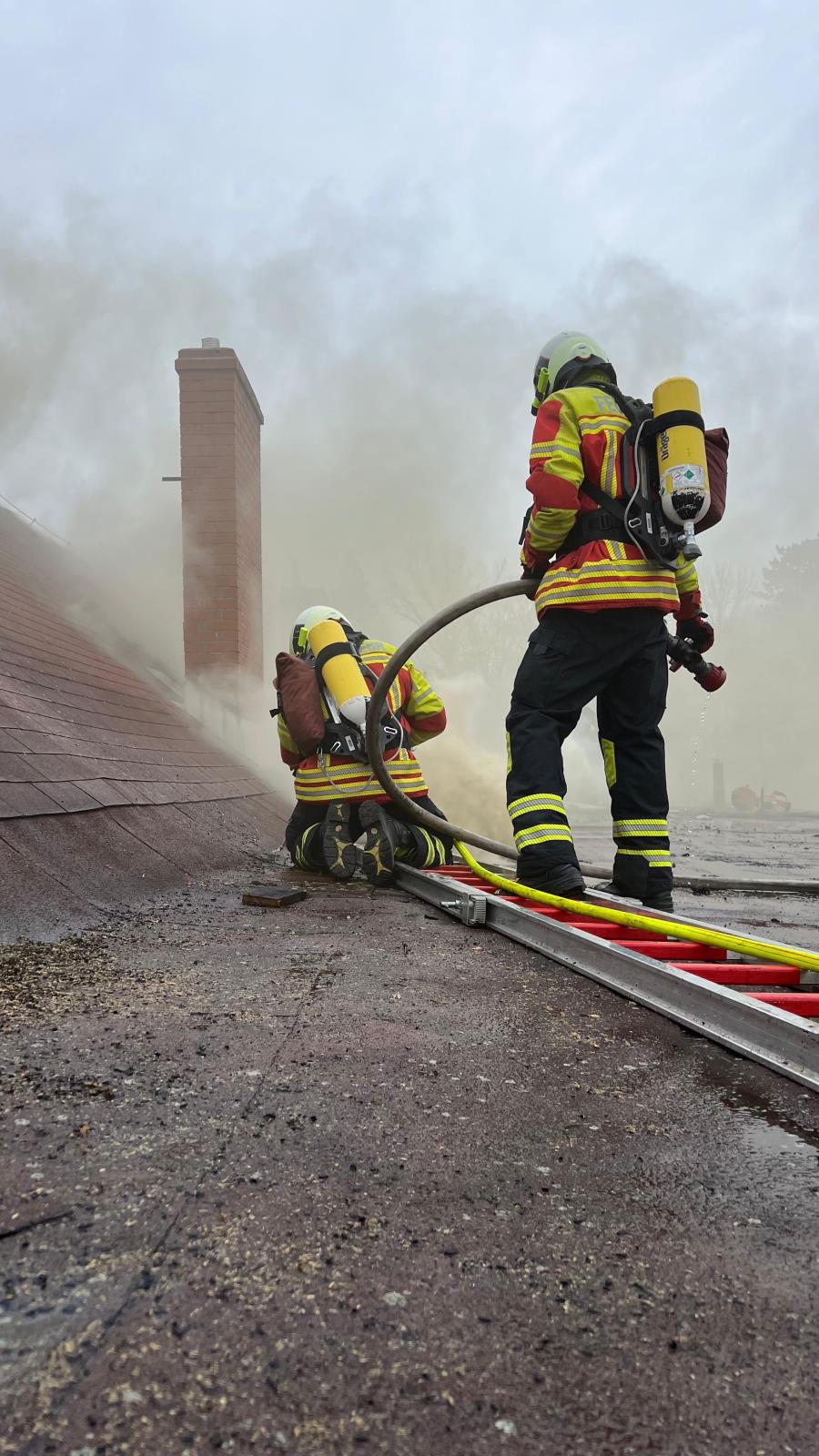 2026_03_25_P_Varnsdorf_DC