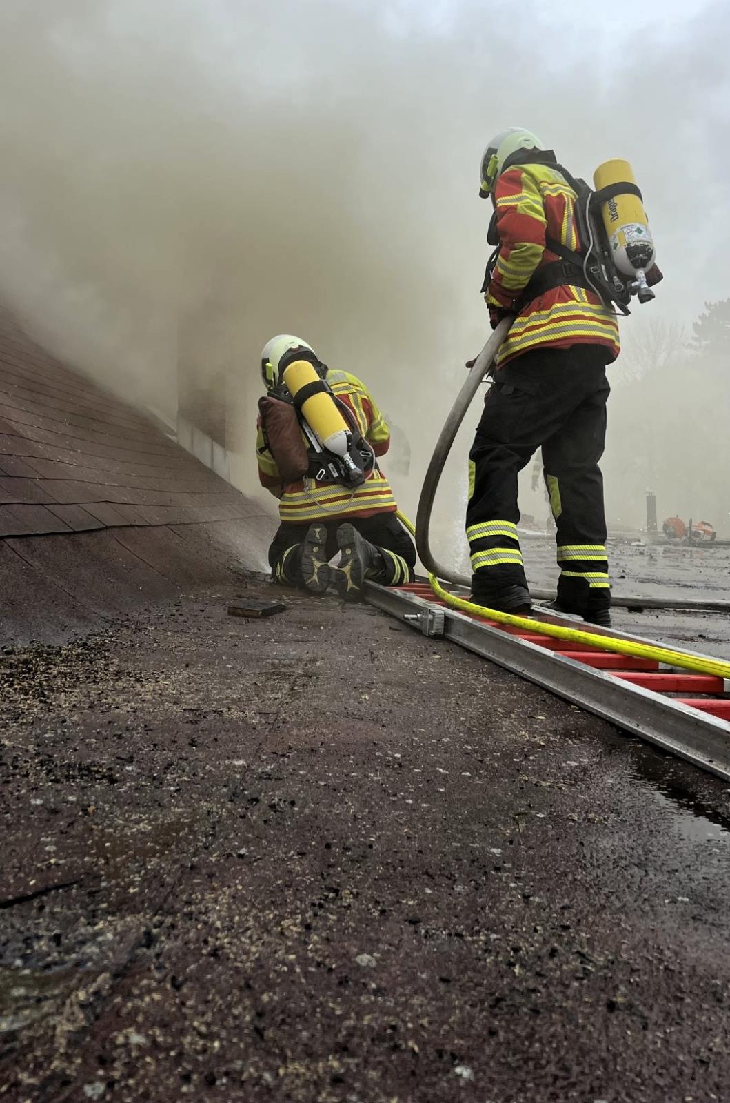 2026_03_25_P_Varnsdorf_DC