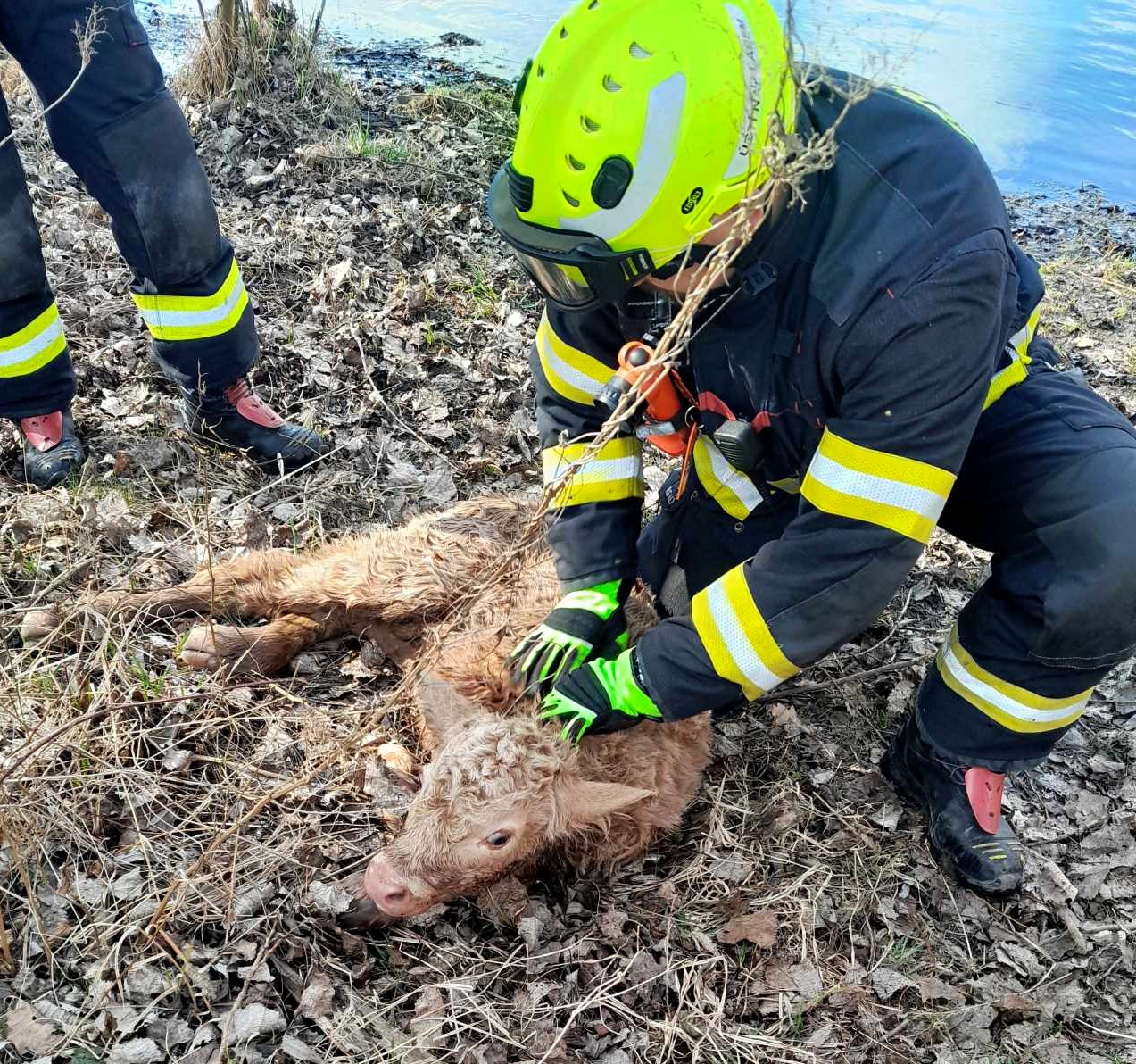 2026_03_27_zachrana_telete_UL