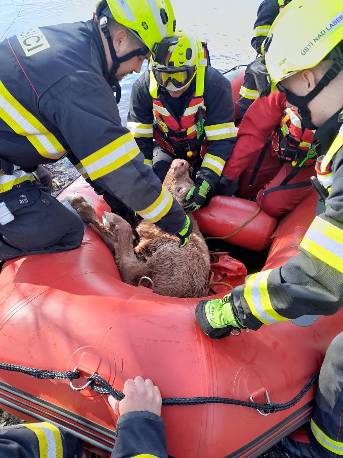 2026_03_27_zachrana_telete_UL