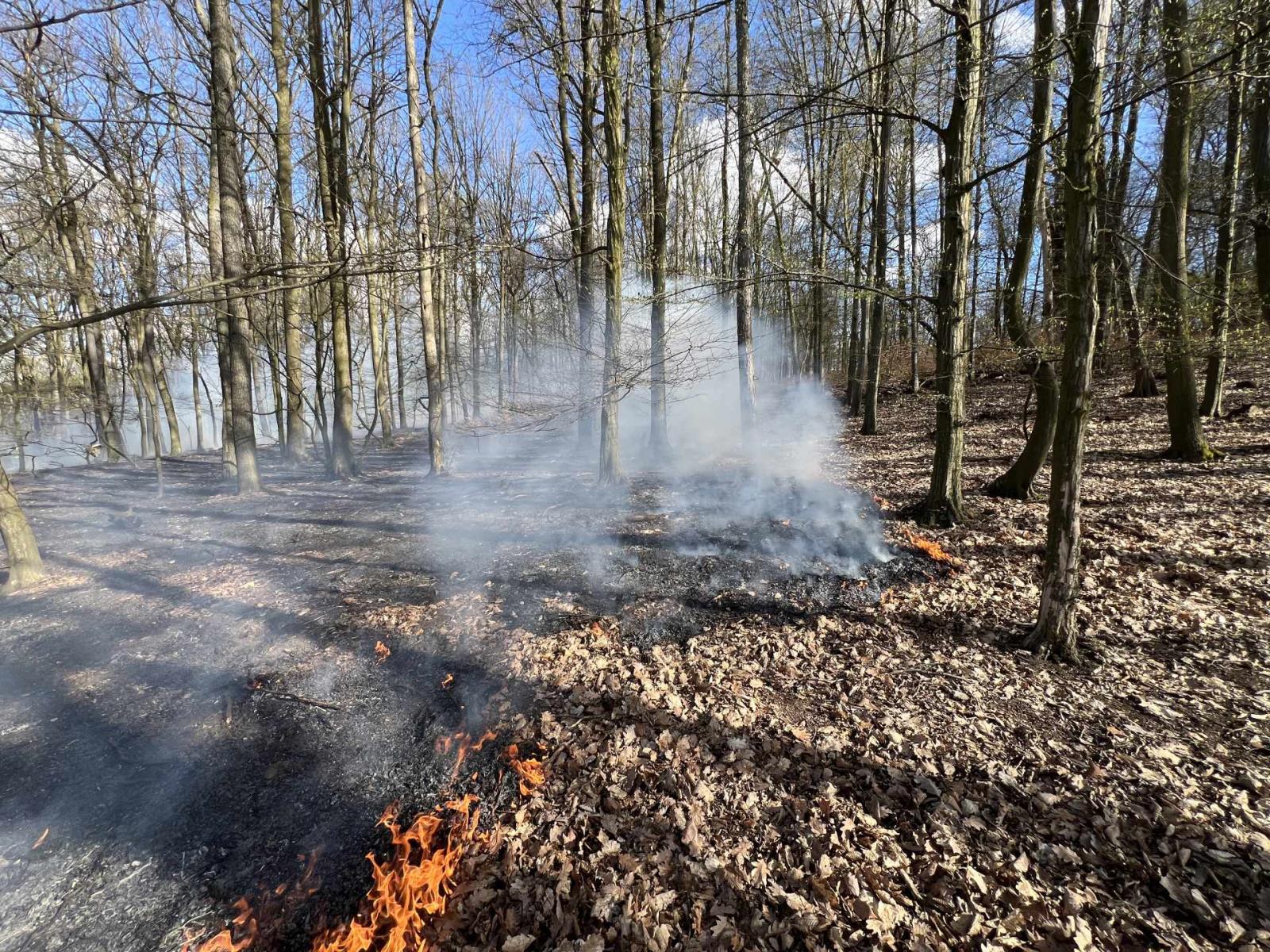 2026_04_06_P_UL_Valtirov 01.jpeg