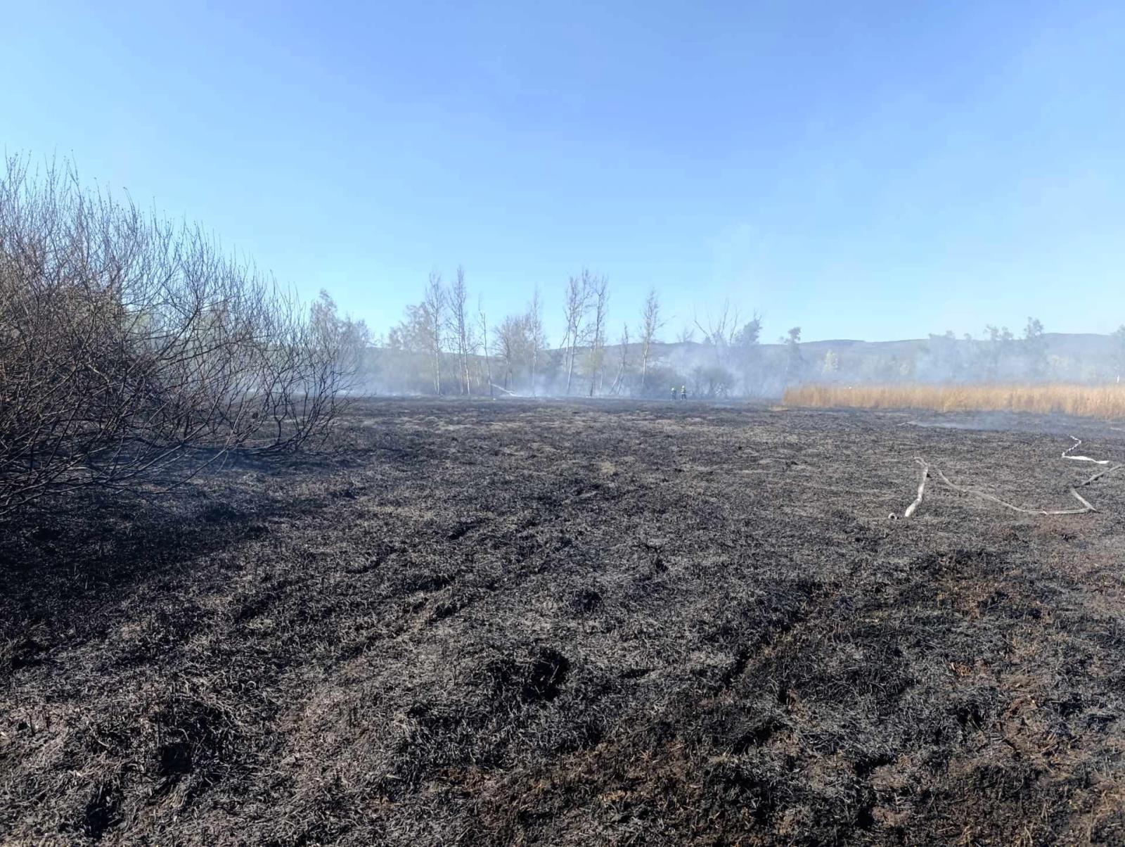 2026_04_25_P_u_Vetruse_MO