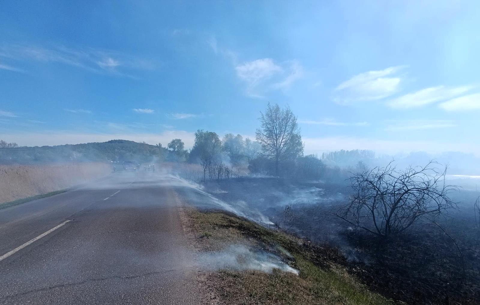 2026_04_25_P_u_Vetruse_MO