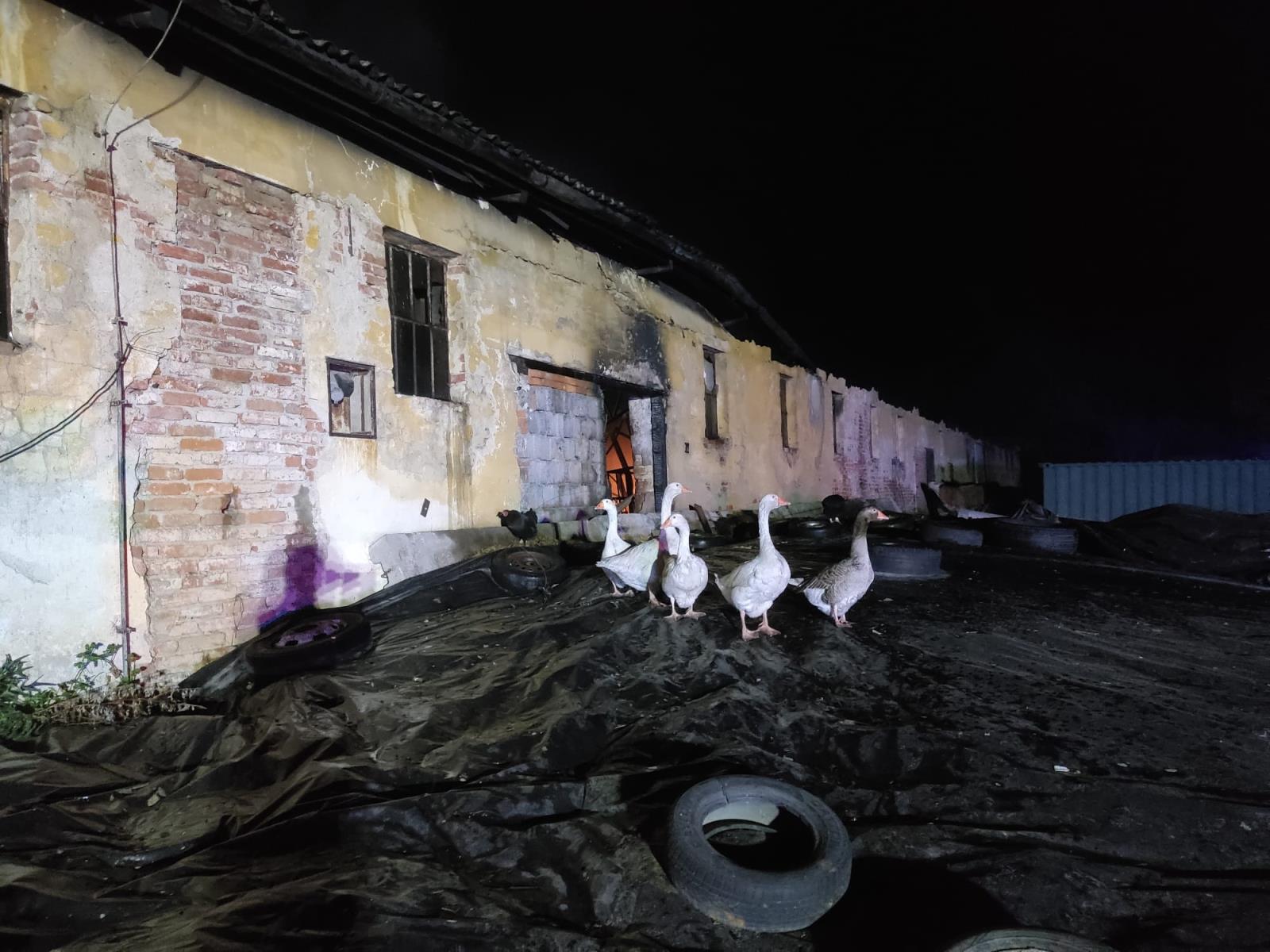 2026_04_26-Pozar_kravina_Lipina (5).jpeg