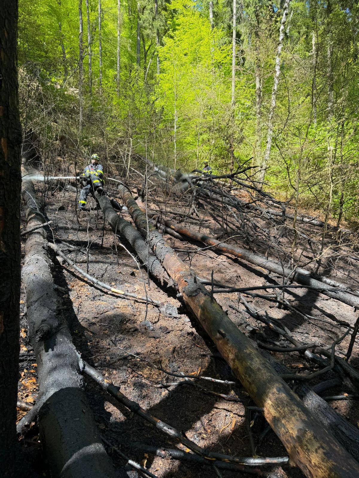 2026_04_29_P_TP_Osek 02.jpg