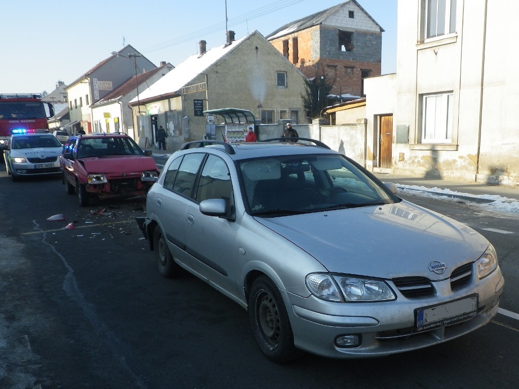21.1.2017 (PS 10.30) DN Líně.JPG