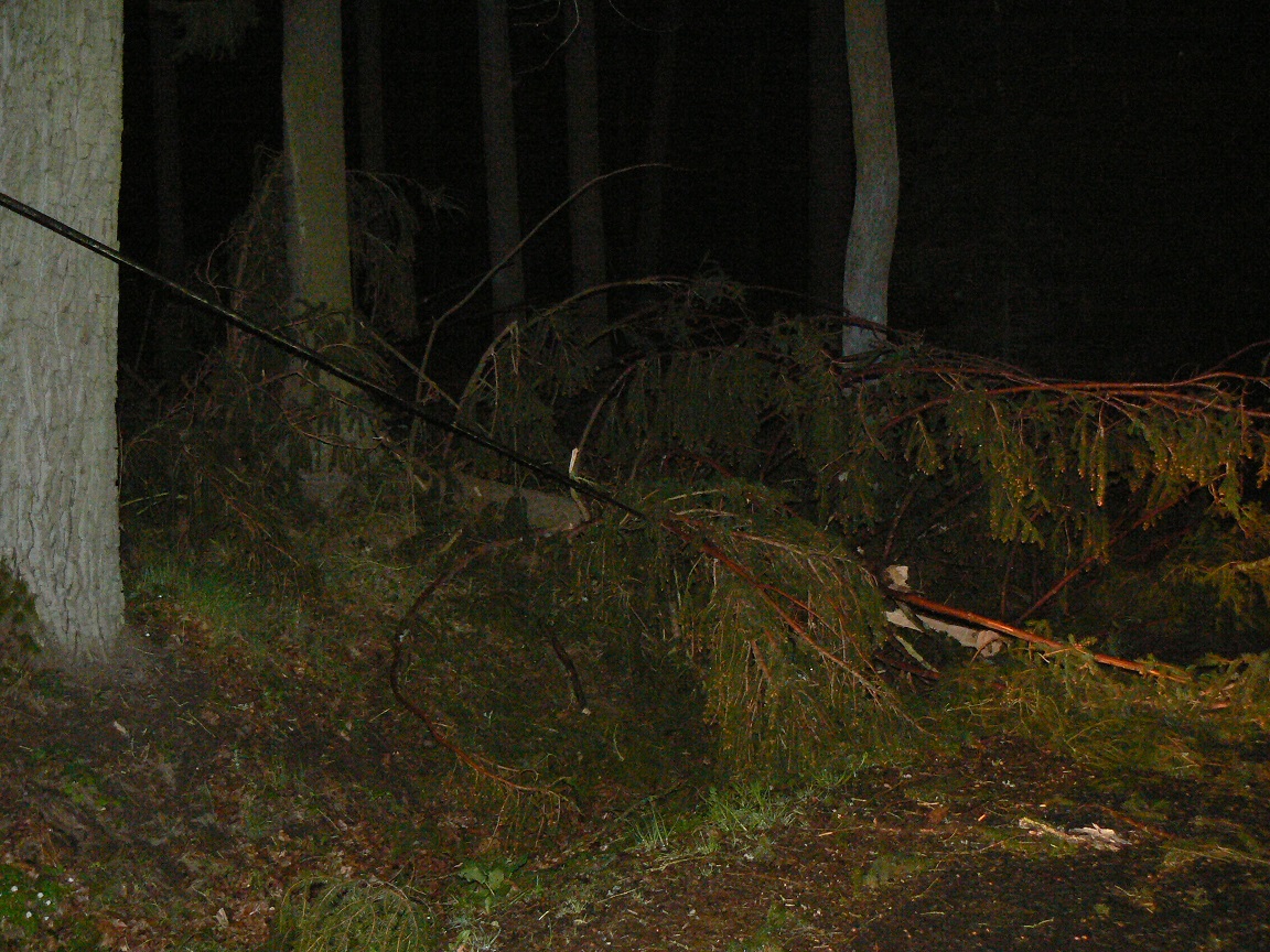 22.4.2015 padlý strom Merklín.JPG