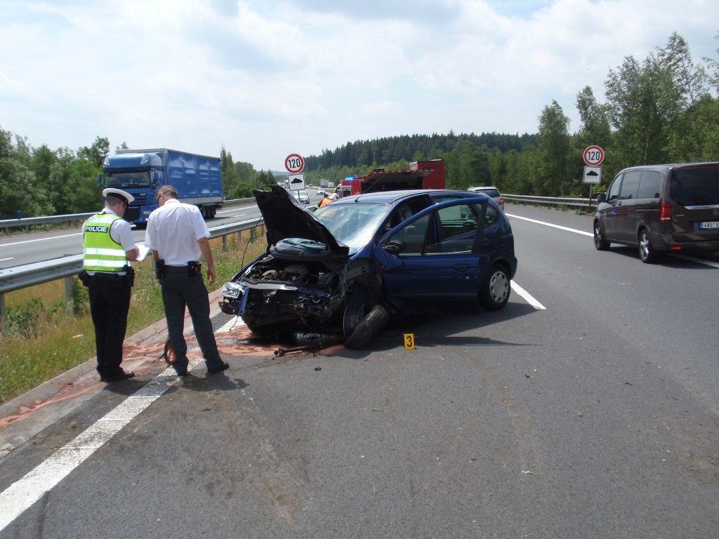 23.6.2017 (RO 12.12) DN D5 Cekov.JPG