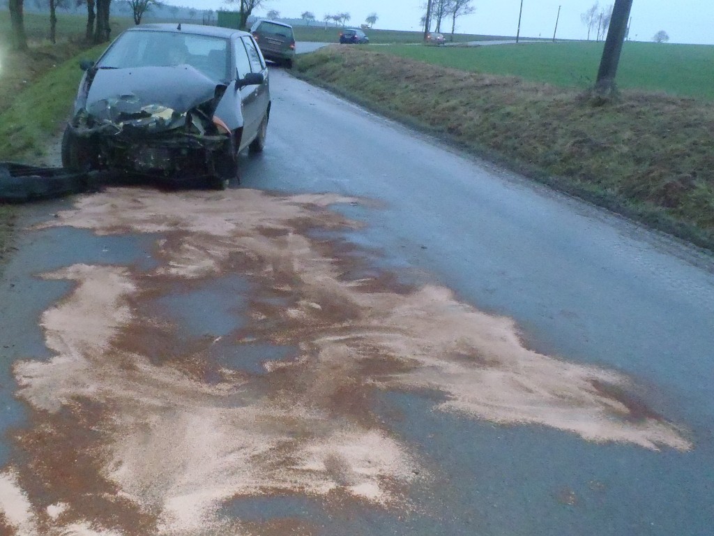 25.11.2016 (PS 7.19) DN Hromnice, Žichlice.JPG