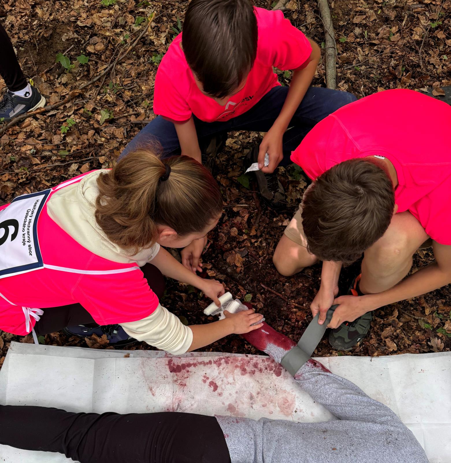 25_06_17_Mlady_zachranar_ULK_Krupka