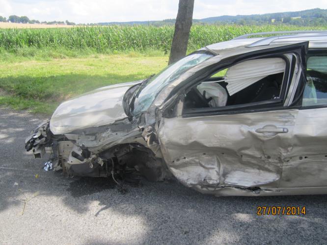26 DN 27.7.2014 Kamenice n.L C.jpg