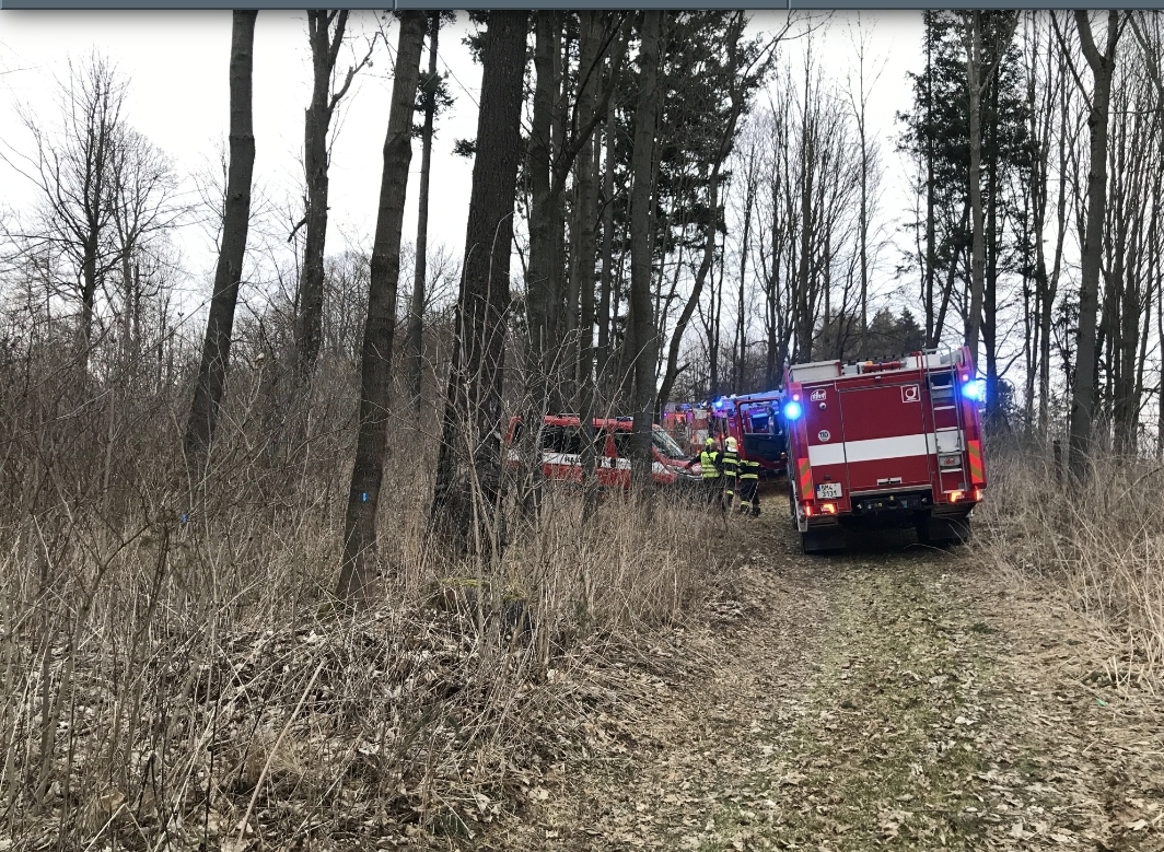 2803_pozar_trava_zraneni (5).jpg